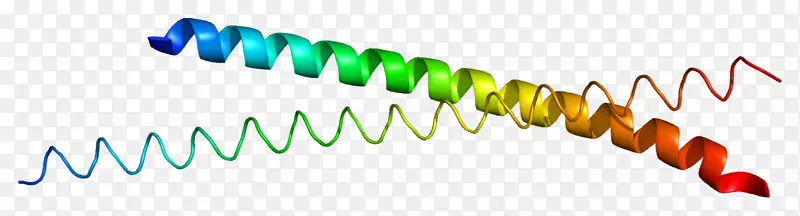 �ߵ�AP-1ת¼����������-������