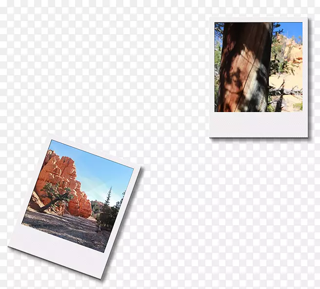 ��Ӱֽ�����Ӱ-������