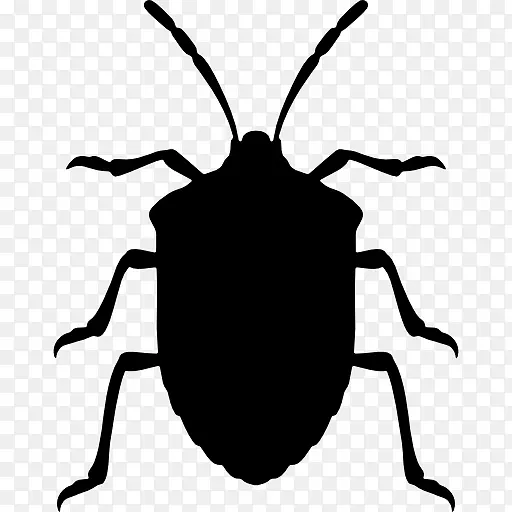 �����̳�����ɫ��������������-������