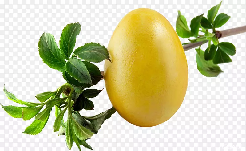 �����ֽ1080 p������ʾ��̨ʽ���Կ���-�����-������