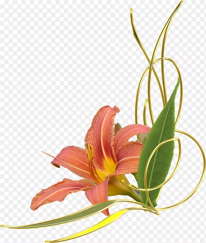 �ٺ��л���������-����-������