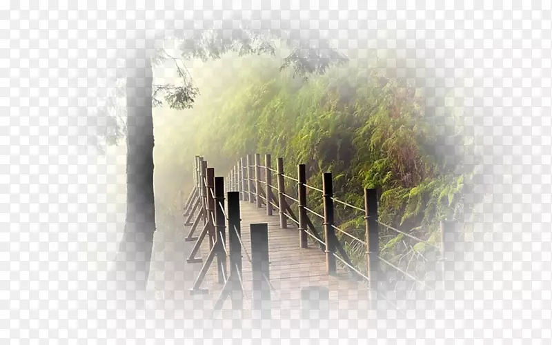 �����ֽ��Դ��������ֽ.��Դ-������