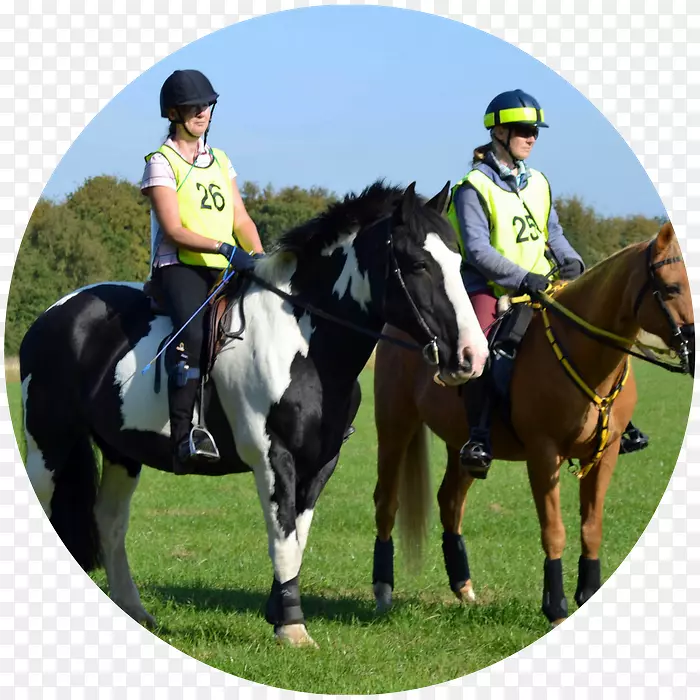 ������-������