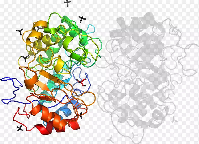 ������Ϊ���������-������