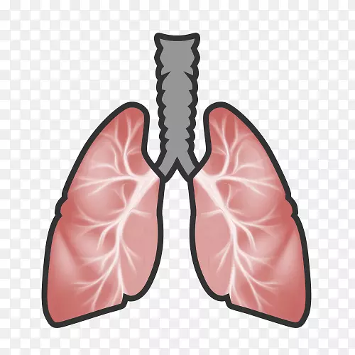 ѹ�������ʺ˽�����ϵͳ-����-������