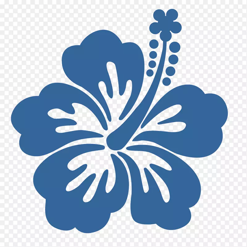 ǽ�����ո���ֽ������ܽ��-������