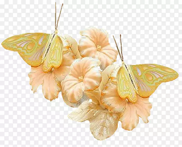 ��������-����-������