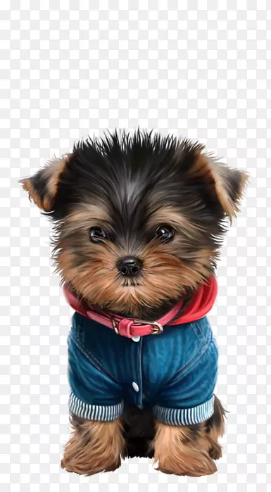 Լ�˿�С��Ȯ���Ĵ�����˿״��Ȯ��Ī��С��-С��-������