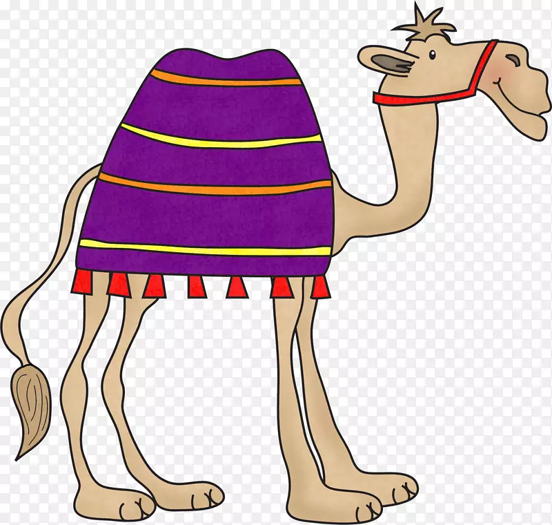 �Ű���������ѧǰ������ԭ������-������