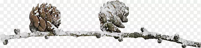 ����������-������