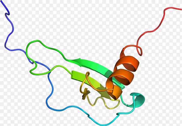 �ߵ������-��-������