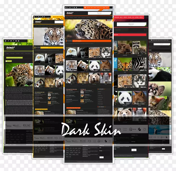 չʾ���Ʒ�ƶ�ý��-������