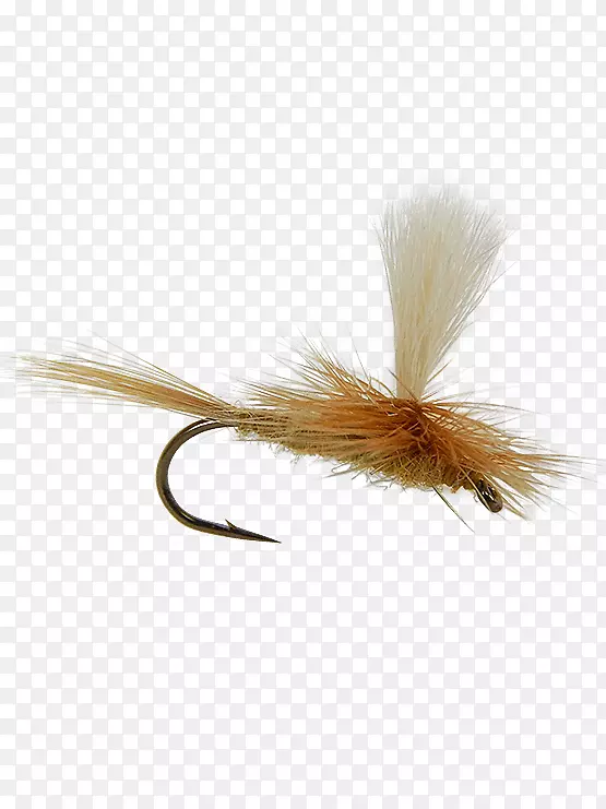 �����˹�Ӭ-������