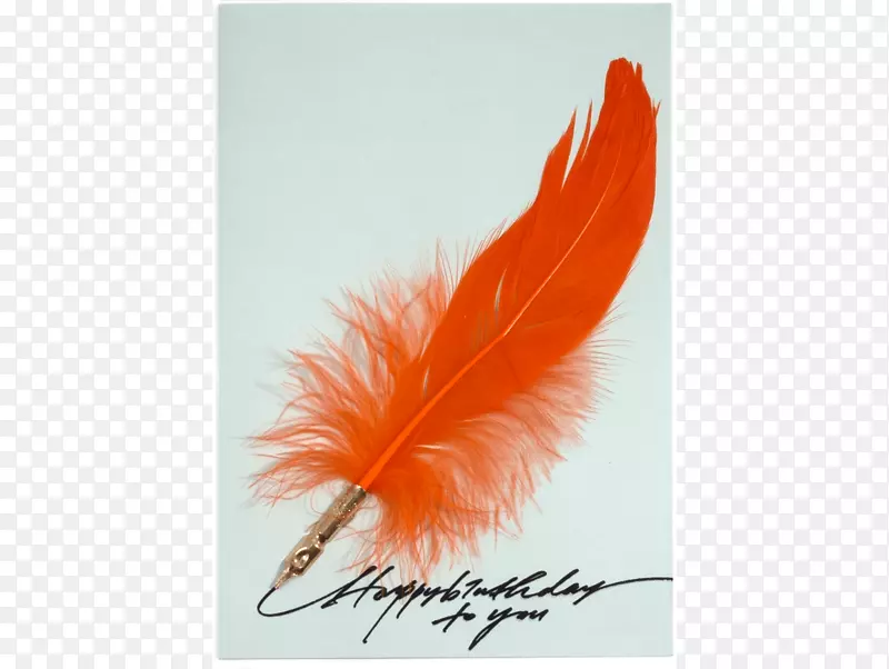 ��ë-��ë-������