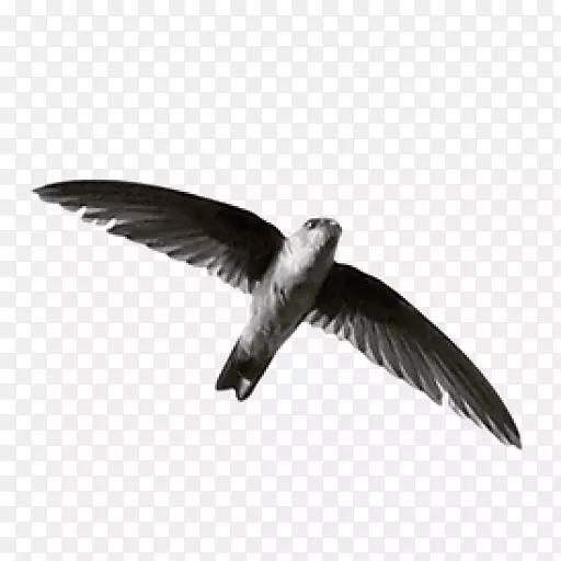 ˮ������Android����-android-������