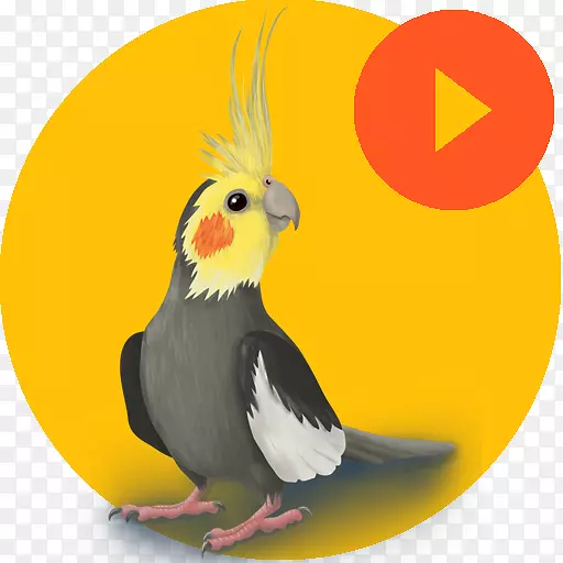 google����android����-android-������