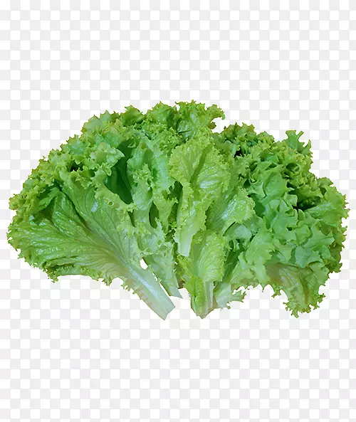 ����ɫ��Ҷ������-�߲�-������