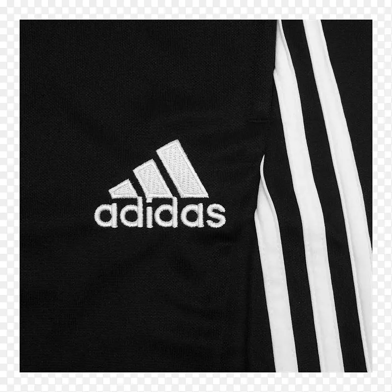 ��ʢ�ٴ�ѧ���ϴ�˹�������������ݴ�ѧ���ϴ�˹-������