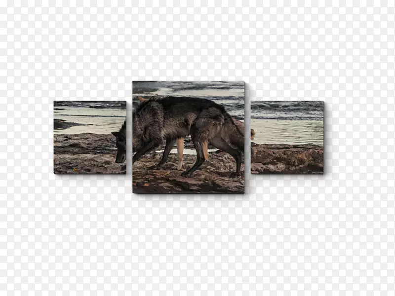 ��Ұ������-��-������