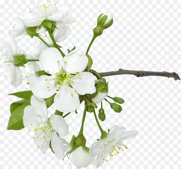 ���ջ���-����-������