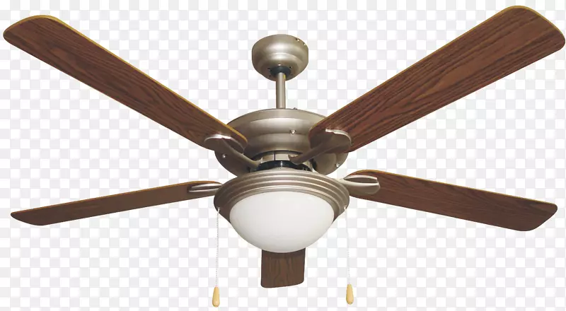 ���ȵ�-������