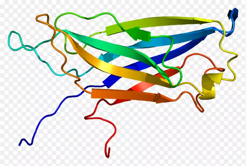 �ߵ������������-������