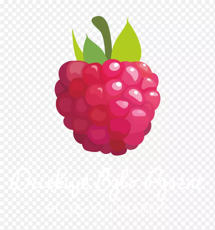 �����������ʳ����͸��������-������