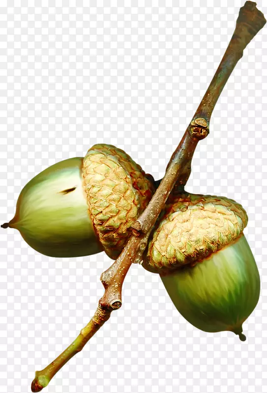 ���ӿ�ͨƬ����-������