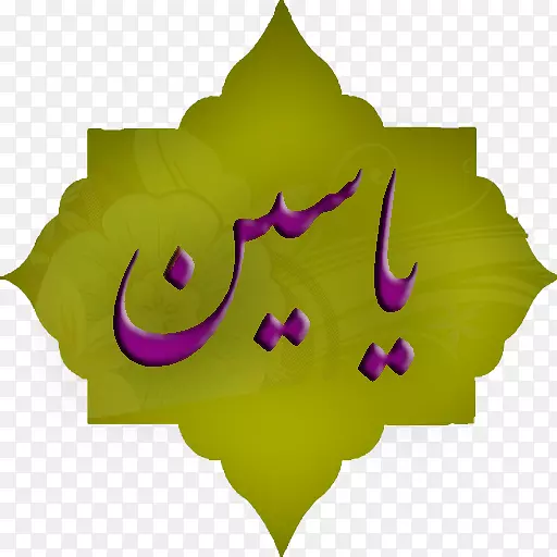 ����Ҷ����ֲ��-Ҷ-������