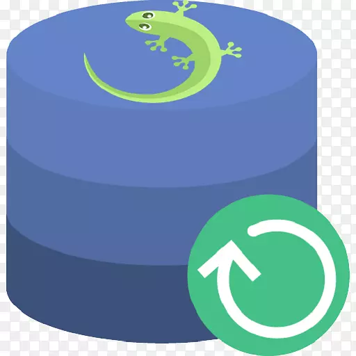 WISE���ݻָ������ͼ�������޸���ʦ�����������-������