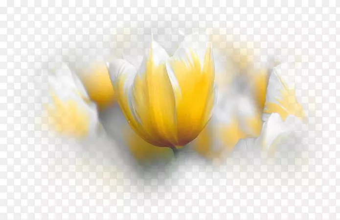 �����㻨�����ֽ����-������-������