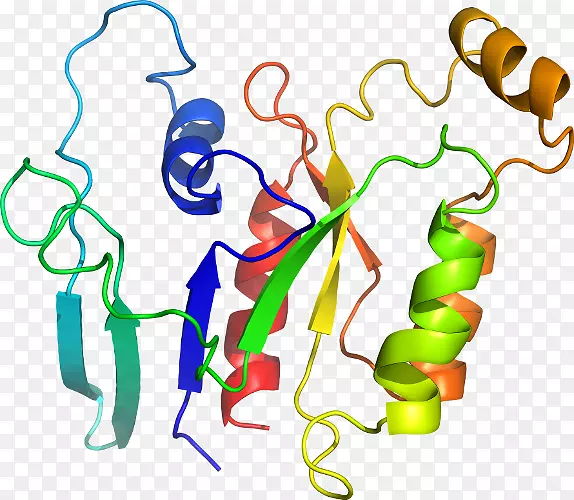 ������Ϊ���л�����������-������