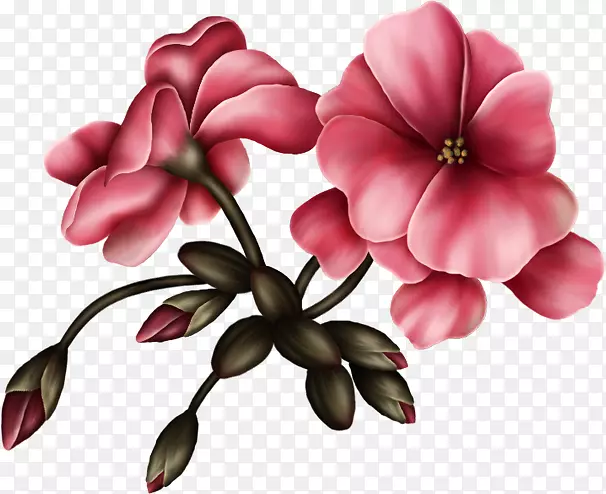 ���ܻ��������������-����-������