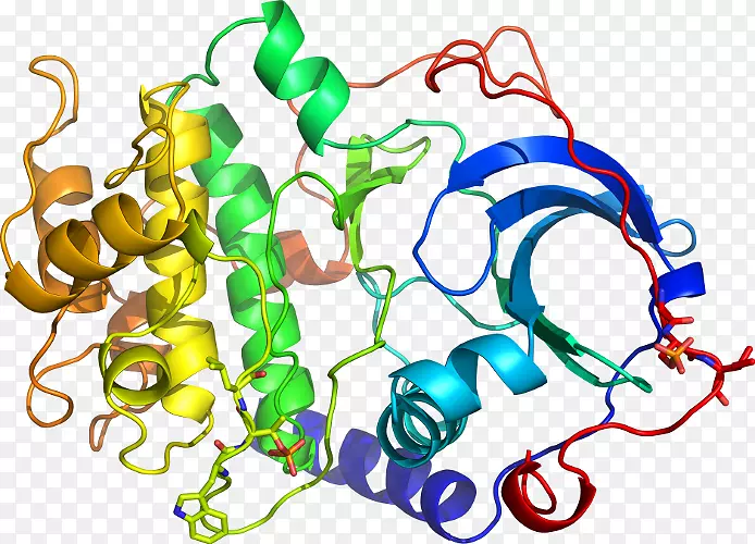 ���������л����߼�������-������