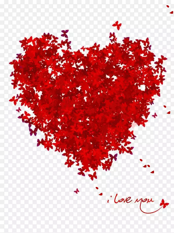 ���˽�T�������ﰮ�����˽�-������