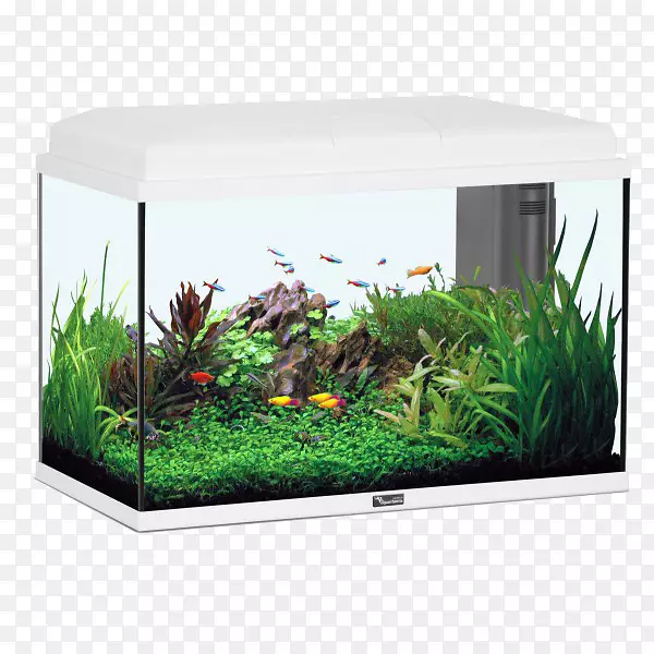 ����ˮ����ȴ��������-������