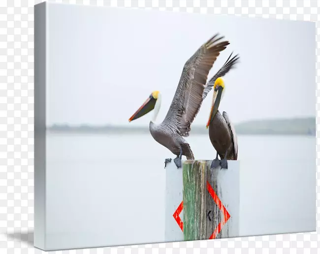 ๺���-���-������