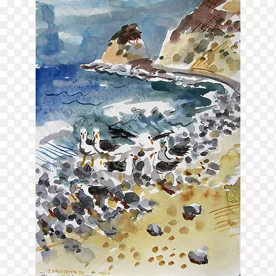 ˮ�ʻ�-������