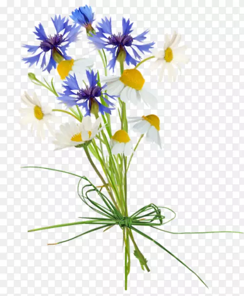 ����������-��-������