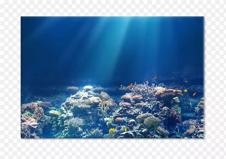 4k�ֱ���led����lcd���������ȵ������ܵ���-������