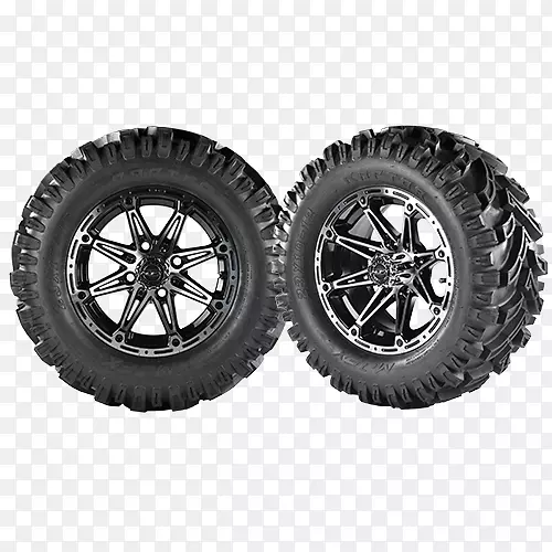 ̥���ַ��Ͻ���ԽҰ��̥-������