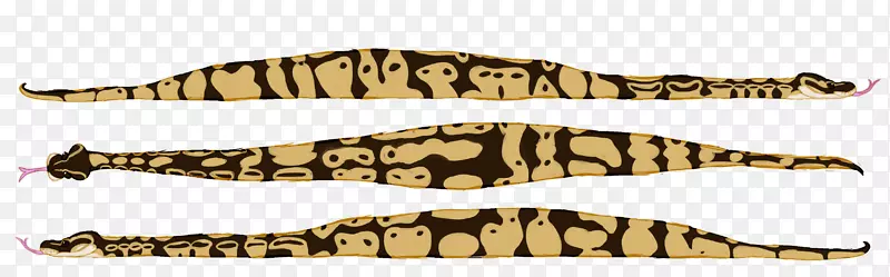 ʳ�����ж���β�Ͷ���-����-������