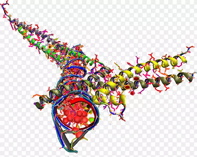 �����鱦��������-������