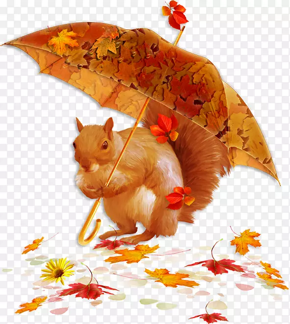 �＾�������罻ý��-�＾-������