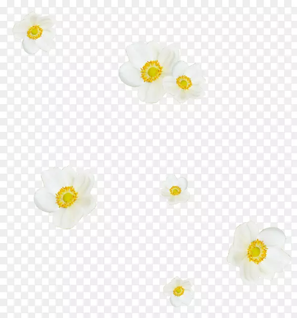 �����鱦-������