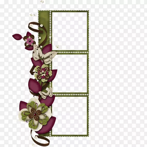 ͼƬ֡���ݼ�������-������