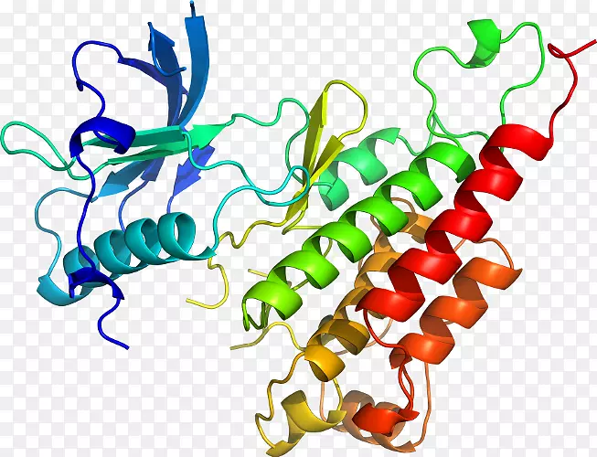 �����߶����������-������