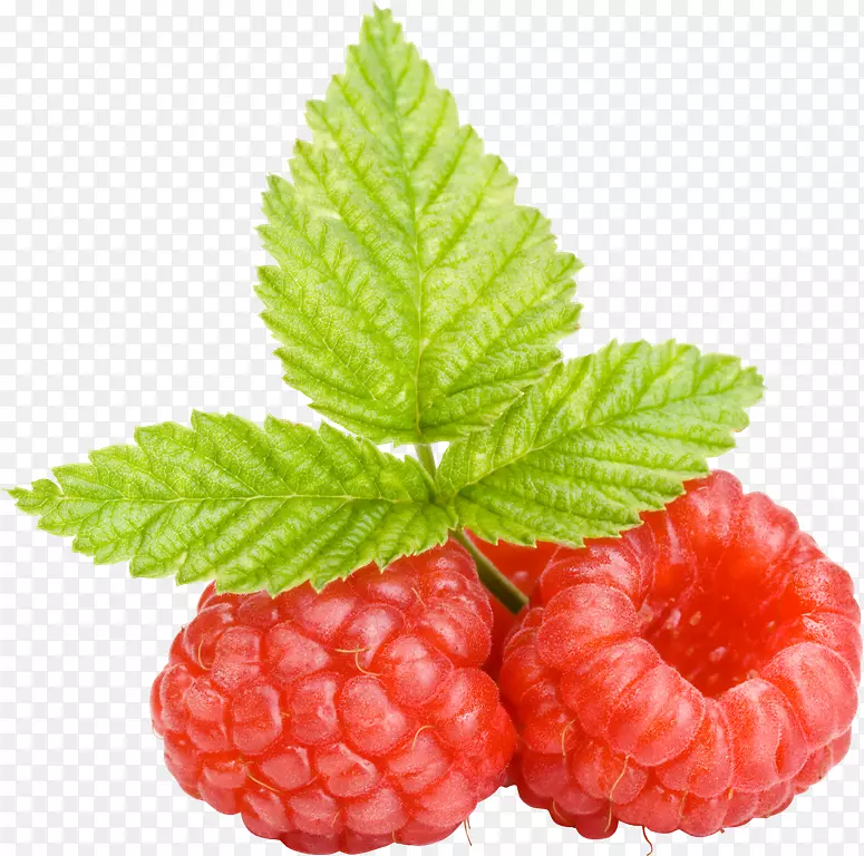 �����Ӽ�����-������-������