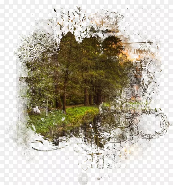 ������-������