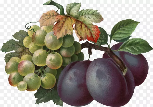 ��ͨ���ѡ����Ѿơ��������޺�����-������